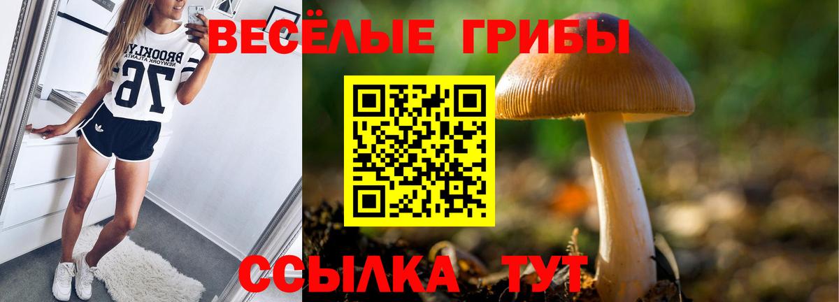 Псилоцибиновые грибы прущие грибы Минусинск